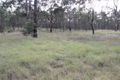 Property photo of 117 McNicholl Road Wattle Camp QLD 4615