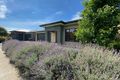 Property photo of 8 Corboy Close Point Cook VIC 3030