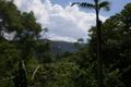 Property photo of 137 Mill Road Huonbrook NSW 2482