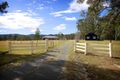 Property photo of 900 Markwell Road Markwell NSW 2423