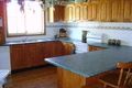 Property photo of 7 Ian Crescent Chester Hill NSW 2162