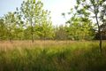 Property photo of 177 Post Office Road Mount Schank SA 5291