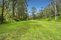 Property photo of 387 Murrays Run Road Murrays Run NSW 2325