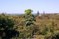 Property photo of 92 Persimmon Drive Peregian Beach QLD 4573