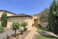 Property photo of 50B Downing Street Hove SA 5048