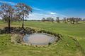 Property photo of 87 Bargwanna Road Spring Creek NSW 2800