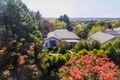 Property photo of 91 Mann Street Armidale NSW 2350
