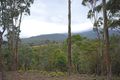 Property photo of 23 Tanglewood Road Molesworth TAS 7140