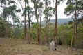 Property photo of 23 Tanglewood Road Molesworth TAS 7140
