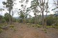 Property photo of 23 Tanglewood Road Molesworth TAS 7140
