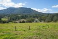 Property photo of 442 Blue Knob Road Nimbin NSW 2480