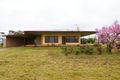 Property photo of 3056 Sixteenth Street Irymple VIC 3498