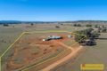 Property photo of 111 Grimshaw Lane Gulgong NSW 2852