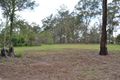 Property photo of 1 Sundowners Court Upper Caboolture QLD 4510