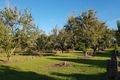 Property photo of 483 Bells Creek Road Bells Creek QLD 4551