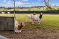 Property photo of 1480 Yass Valley Way Yass NSW 2582