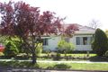 Property photo of 43 Sandy Street Nunawading VIC 3131