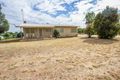 Property photo of 179 Pine Hill Road Narrandera NSW 2700