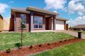 Property photo of 3 Meadowhawk Street Chisholm NSW 2322