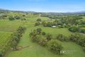 Property photo of 328 Mount Brisbane Road Mount Pleasant QLD 4521