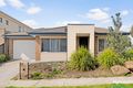Property photo of 31 Calibre Avenue Craigieburn VIC 3064