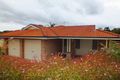 Property photo of 5 Tupelo Street Medowie NSW 2318