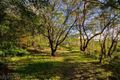 Property photo of 29 Railway Avenue Faulconbridge NSW 2776