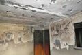 Property photo of 7 Carlton Place Bridgewater TAS 7030