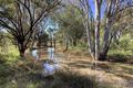 Property photo of 1642 Humbug Road Tara QLD 4421