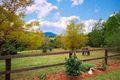 Property photo of 1186 Illaroo Road Tapitallee NSW 2540