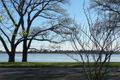 Property photo of 118 Wendouree Parade Lake Wendouree VIC 3350