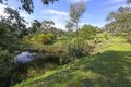 Property photo of 19 Kirkham Road Belgrave South VIC 3160