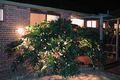 Property photo of 8 Birnam Avenue Banora Point NSW 2486
