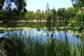 Property photo of 116 Fig Tree Beach Road Midgeree Bar QLD 4852