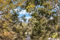 Property photo of 77 Murdoch Hill Road Woodside SA 5244