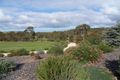 Property photo of 28 Brougham Place Kanmantoo SA 5252