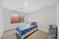 Property photo of 49 Abrus Circuit Cranbourne North VIC 3977