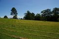 Property photo of 73 Allgomera Road Allgomera NSW 2441