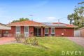 Property photo of 138 Elliott Road Scarborough WA 6019