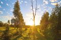 Property photo of LOT 14 Aspect Way Karalee QLD 4306