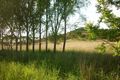 Property photo of 177 Post Office Road Mount Schank SA 5291