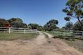 Property photo of 16 Albatross Court Boston SA 5607