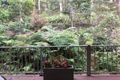Property photo of 56 Currumbin Chase Currumbin QLD 4223