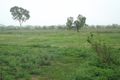 Property photo of 17321 Peak Downs Highway Nebo QLD 4742