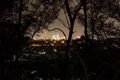 Property photo of 52 Caesar Road Ferny Hills QLD 4055