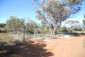 Property photo of 320 Rawnsley Road Loveday SA 5345
