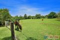 Property photo of 18 Sternberg Road Witta QLD 4552