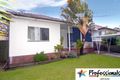 Property photo of 20 Blenman Avenue Punchbowl NSW 2196