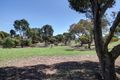 Property photo of 16 Albatross Court Boston SA 5607