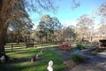 Property photo of 8269 Armidale Road Dundurrabin NSW 2453